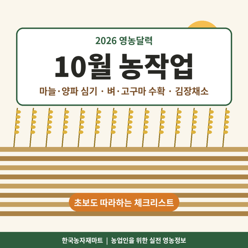 10월 농작업 총정리｜마늘 심는 시기·양파 아주심기·고구마 수확까지 한 번에