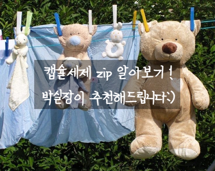 캡슐세탁세제 추천 zip 모아보기! 향도 성능도 좋은 제품은?
