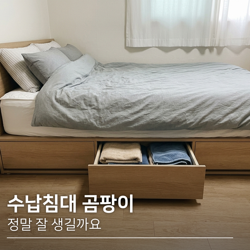 수납침대 곰팡이 정말 잘 생길까요?