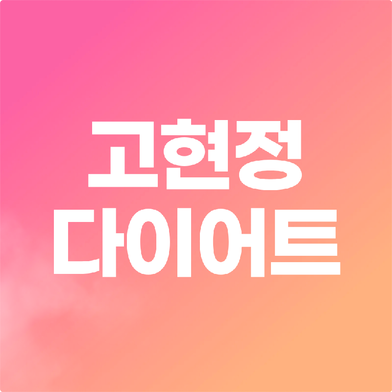 고현정 다이어트 가격 두드림 슬림웨이 다이어트 솔직 후기