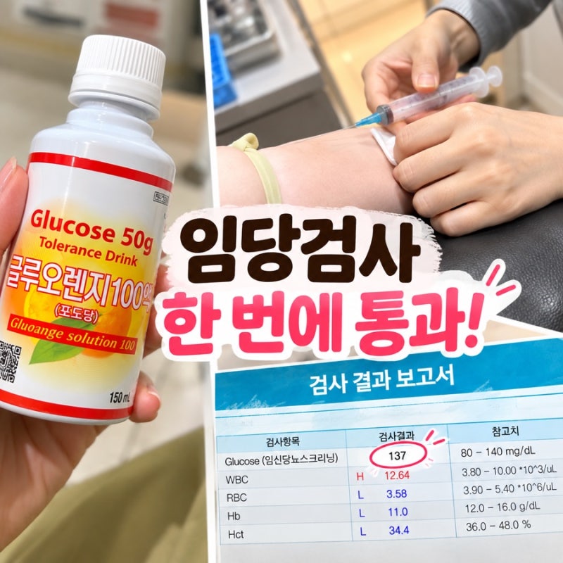 임당검사 전날 음식부터 검사과정 28주 임산부 한 번에 통과 후기