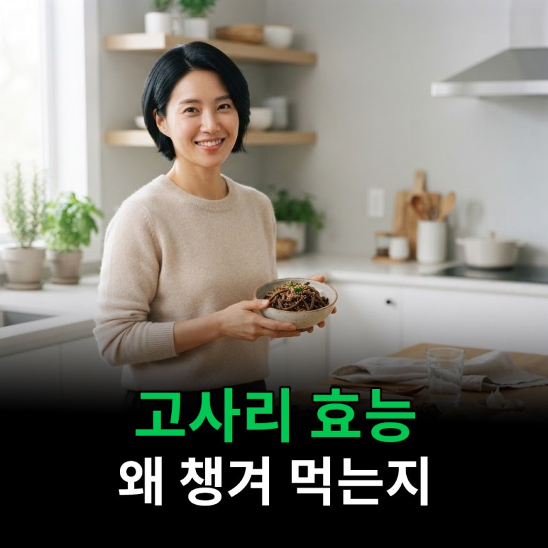 고사리 효능 왜 챙겨 먹는지 알아봤어요