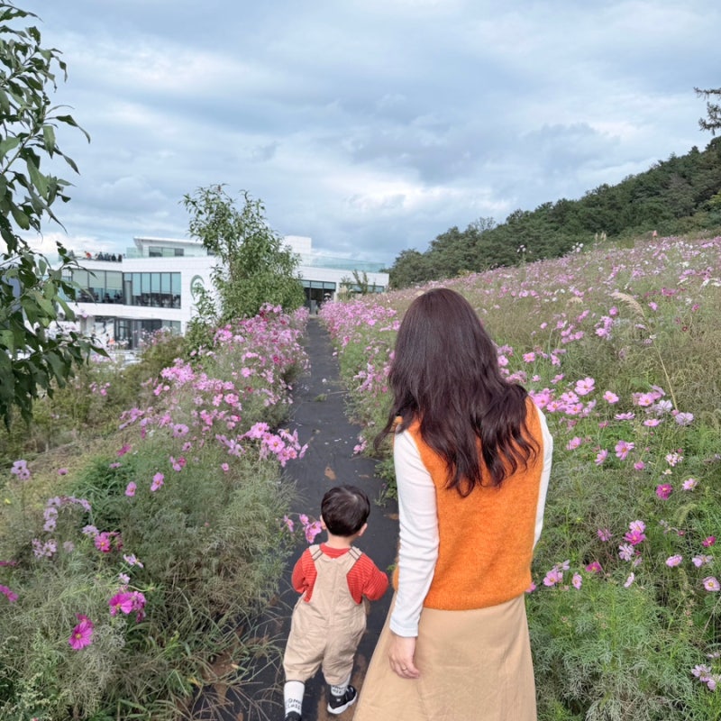 부산근교 아이랑 가볼만한곳｜동물 먹이체험 가능한 대형카페 나인힐, 코스모스 만개한 가....