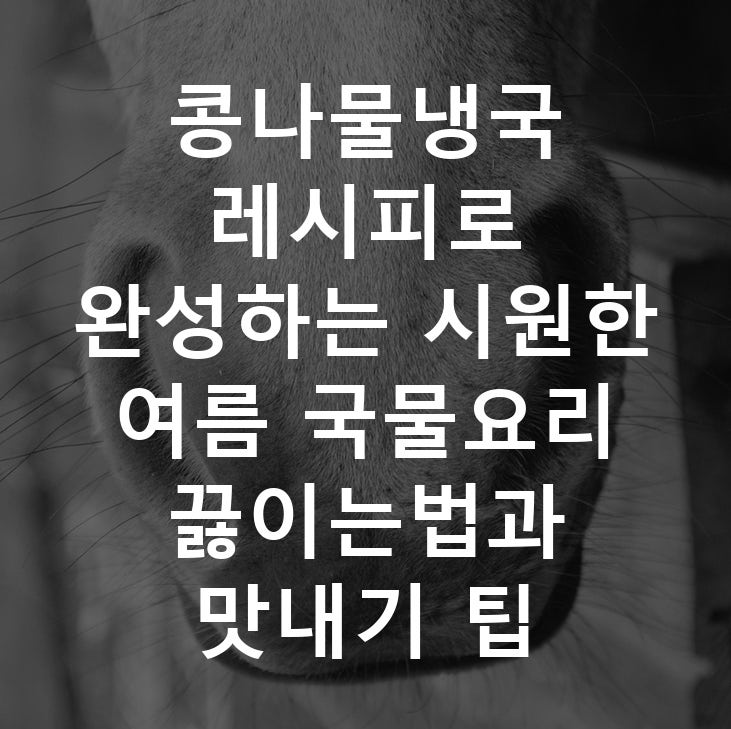 콩나물냉국 레시피로 완성하는 시원한 여름 국물요리 끓이는법과 맛내기 팁
