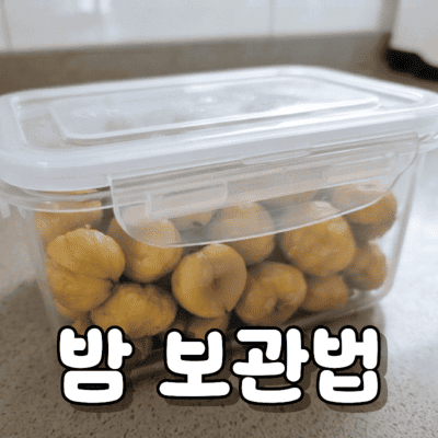 밤 보관법 - 생밤, 삶은 밤, 깐 밤, 안 깐 밤 상황별 보관 방법