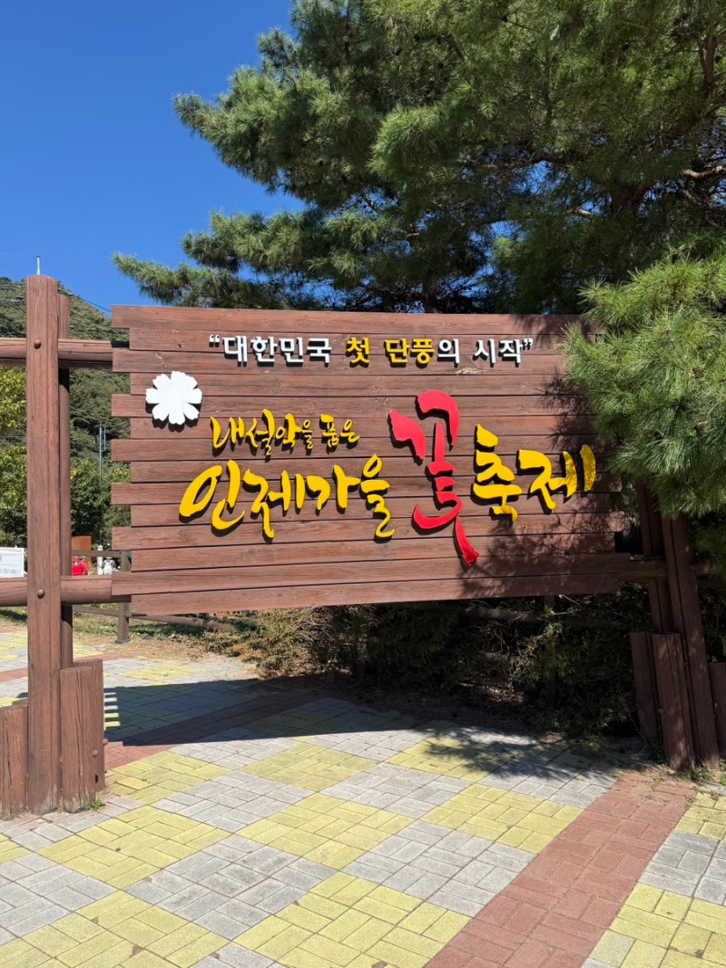 인제 가을꽃축제 | 인제에서 꽃길만 걷자 (박인환 탄생 100주년) 후기