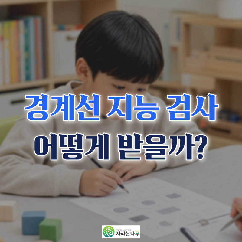 경계선 지능장애 검사 어떻게 받나요?(대전 서구 아동 발달센터 자라는나무)