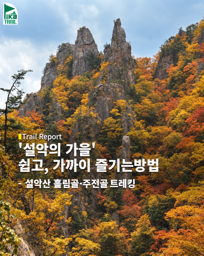 [Report#15] 설악산 흘림골·주전골 트레킹｜6km 안에 담긴 설악의 절경, 가을에 다시 걷고 싶은 ....