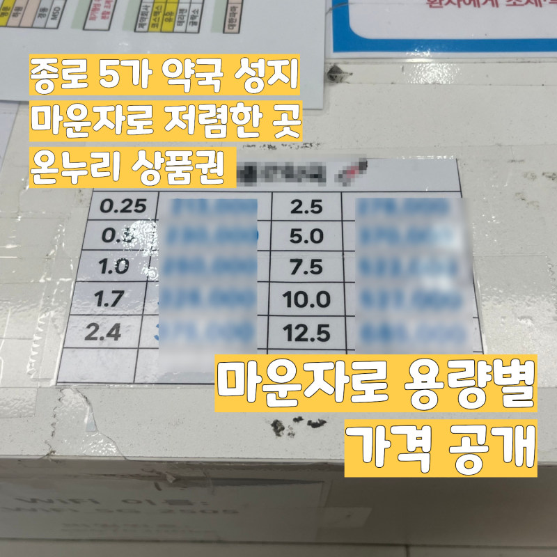 종로5가 마운자로 약국 용량별 가격, 온누리, 서울페이