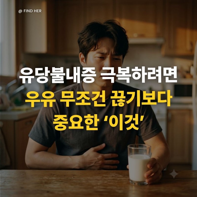 "유당불내증 극복하려면" 우유 무조건 끊기보다 중요한 '이것'