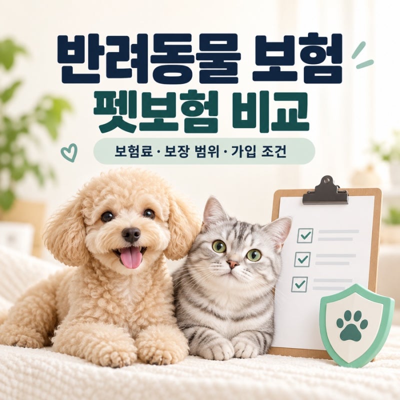 반려동물 보험 펫보험 비교｜보험료·보장 범위·가입 조건 정리