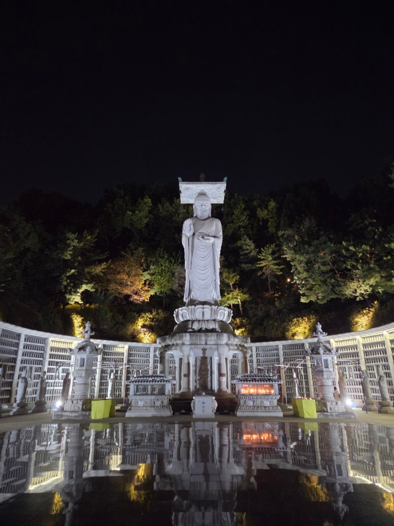 강남 봉은사 기도하는 법 총정리~! ㄹㅇ잘해놓음