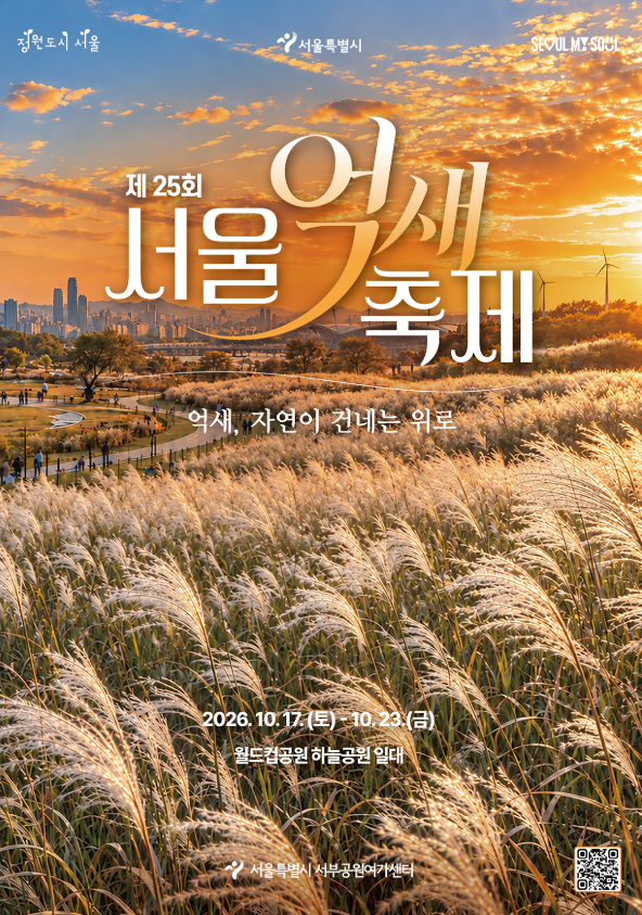 2026 서울억새축제 일정 총정리｜하늘공원 억새 라이팅쇼·프로그램·가는법