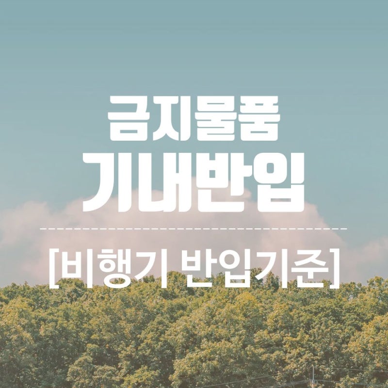 기내반입 금지물품 총정리｜면도기·가위·전자담배 비행기 반입 기준