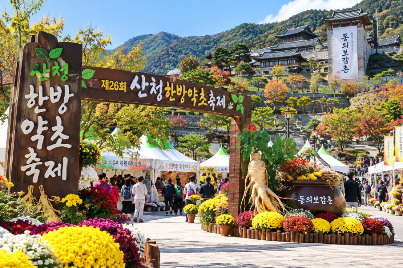6시 내고향 산청한방약초축제 어디? 10월 11일까지 볼거리 먹거리 총정리