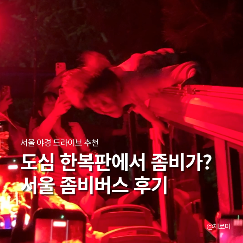 서울 시티투어버스 타이거버스 좀비어택 좀비버스 후기 서울 야경 드라이브 추천