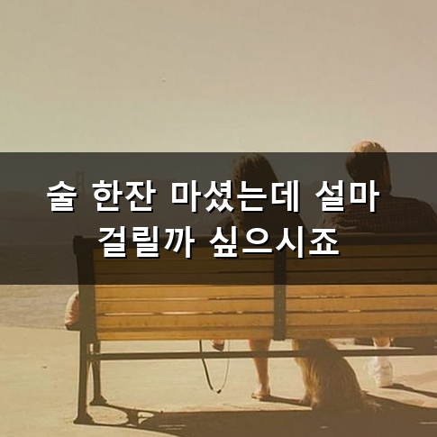 술자리가 잦아지는 요즘 음주 운전 처벌 기준 어떻게 될까