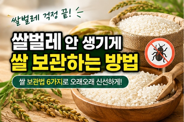 쌀벌레 안 생기게 쌀 보관하는 방법 6가지｜쌀 오래 보관하는 꿀팁