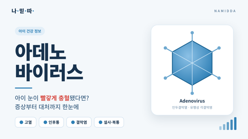 [나믿따] 아데노바이러스 - 증상과 대처법을 한눈에