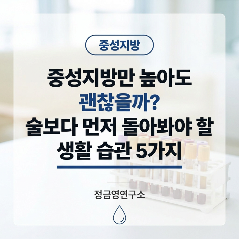 중성지방만 높아도 괜찮을까? 술보다 먼저 돌아봐야 할 생활 습관