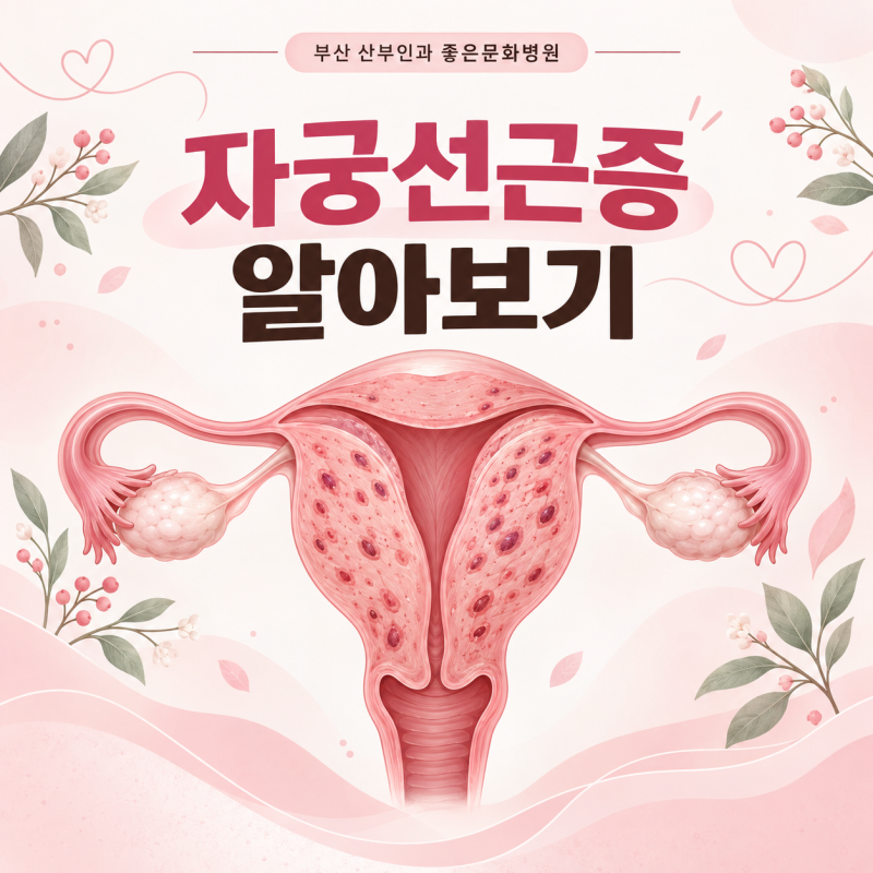 부산 산부인과 좋은문화병원 :: 생리량이 많고 생리통이 심하다면? 자궁선근증 알아보기