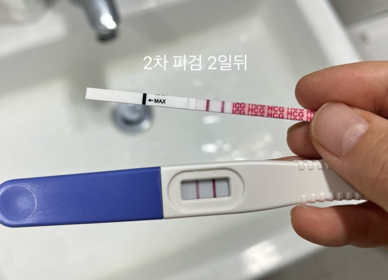 [시험관일기 5편] 2차 피검사, 임테기 역전, 4주차 극초기 임신증상? (에이치아이여성의원)