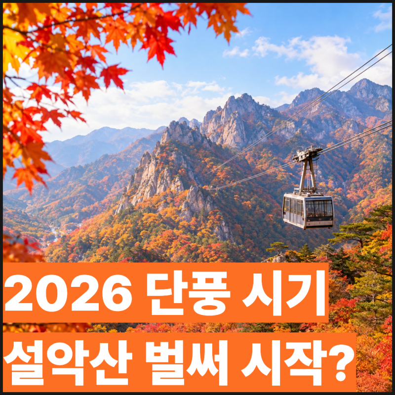 2026 단풍 시기 설악산 벌써 시작? 절정기 언제일까