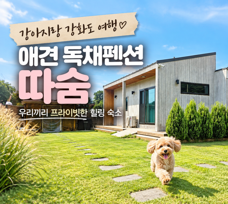 강아지랑 강화도 여행 애견 독채 펜션 따숨