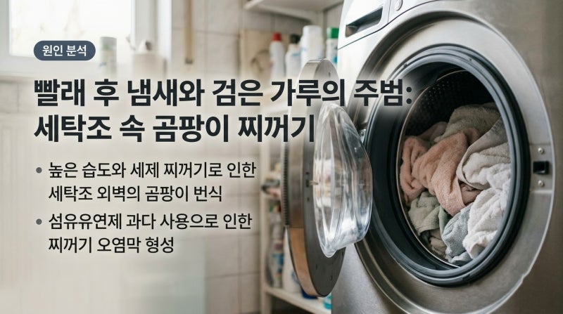 세탁조 청소시 검은 가루의 정체와 청소 꿀팁