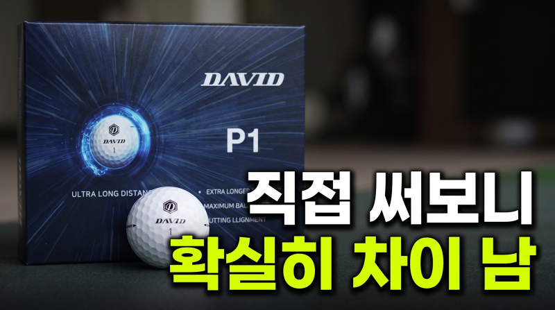 데이비드 고반발 골프공 P1 장타 골프볼 T라인 퍼팅정렬 20개입 화이트(+ 가격 할인 리뷰 추천)