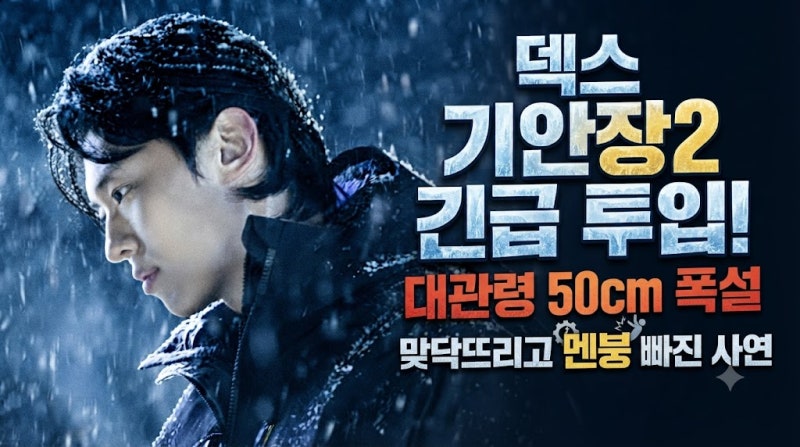 덱스 기안장2 긴급 투입! 대관령 50cm 폭설 맞닥뜨리고 멘붕 빠진 사연