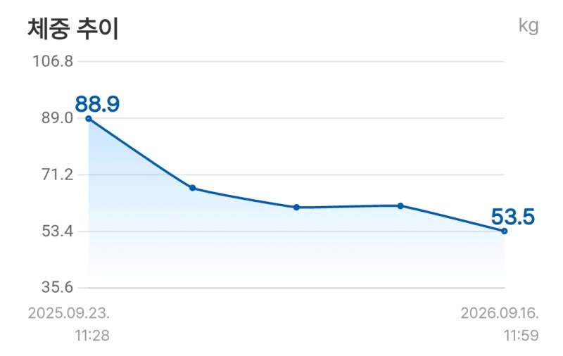 [다이어트] 마운자로 1년 후기｜10mg 재시작 후, 1년 동안 얼마나 빠졌을까? 부작용까지