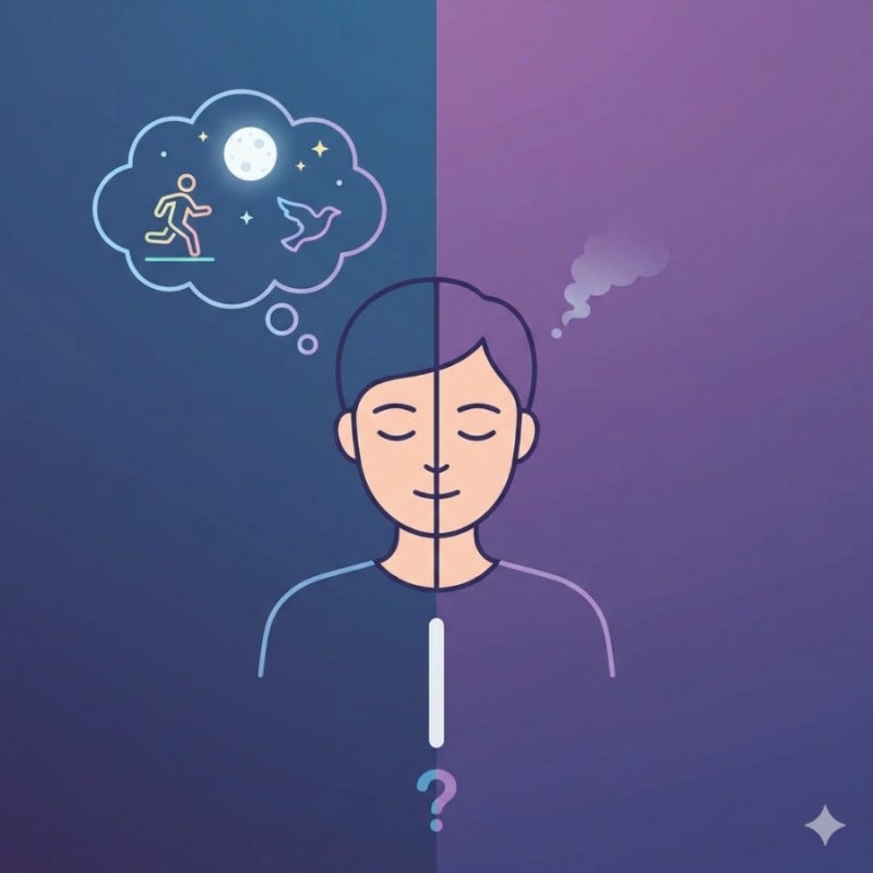 잘때 꿈을 많이 꾸는 이유