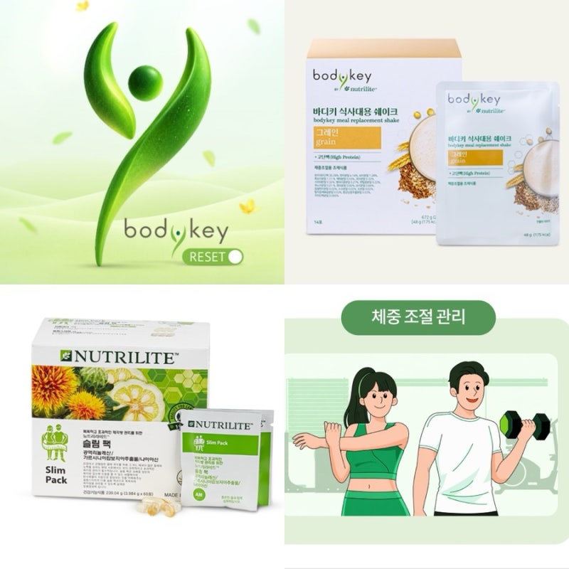 암웨이 다이어트 제품 총정리 I 단백질쉐이크 유산균 식이섬유 체지방 보조제 프로틴 I 바디....