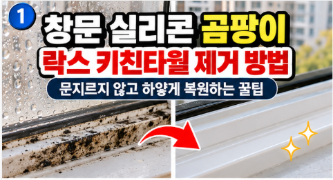창문 실리콘 곰팡이 락스 키친타월 제거 방법 및 창틀 결로 곰팡이 완벽 박멸 꿀팁