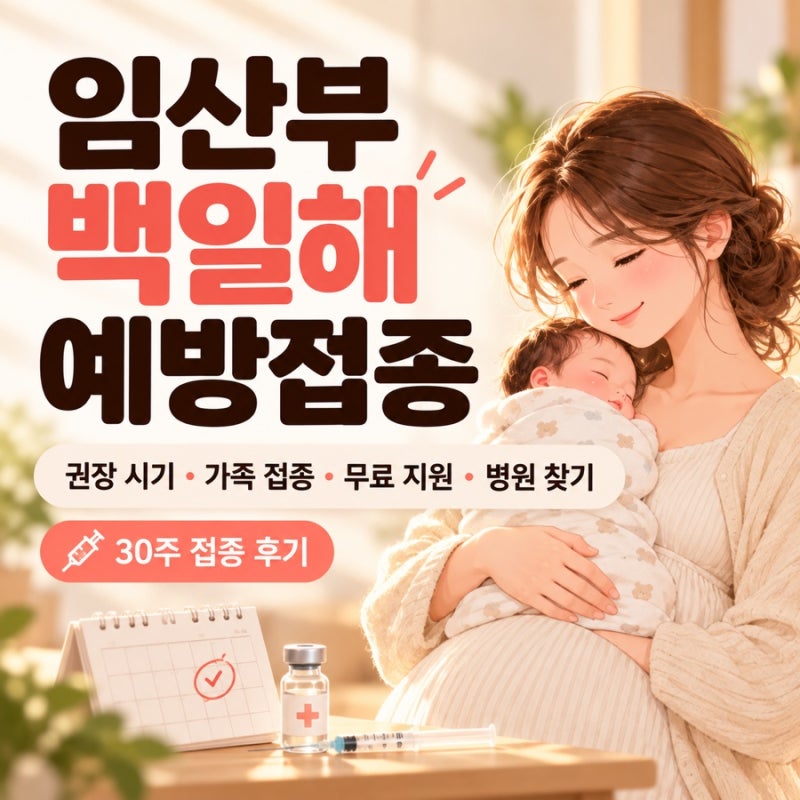임산부 백일해 주사 30주 접종 후기｜권장 시기·가족 접종·무료 지원 확인·병원 찾기