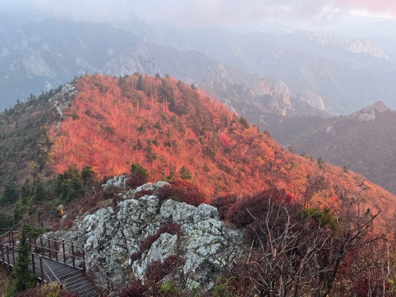 강원/양양] 설악산(1708m) : 가을맞이 단풍산행 (오색~소공원)