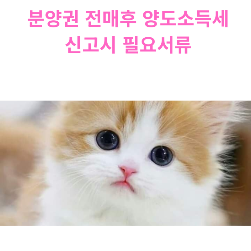 분양권 전매후 양도소득세 신고(중개사무소에서 챙겨야할 서류)