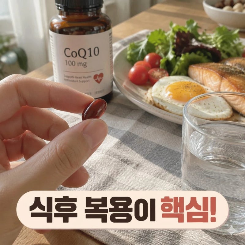 코엔자임Q10(코큐텐) 효능 | 복용순서 정리와 하루 중 가장 알맞은 섭취 타이밍, 영양제 조합....