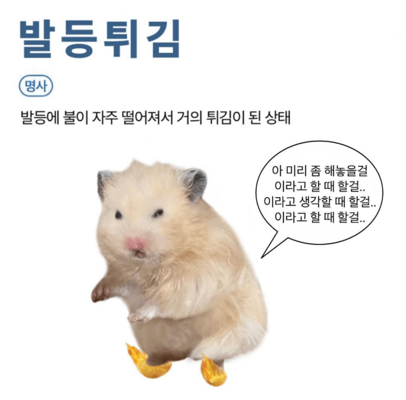 NO부담 웨딩 슈즈 찾기