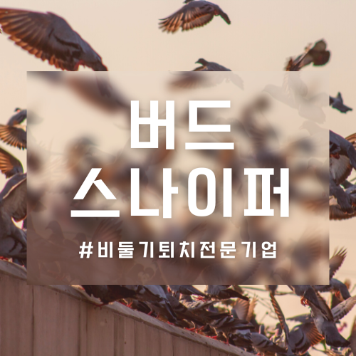 아파트 베란다 난간 실외기 비둘기 똥 청소해야 하는 이유