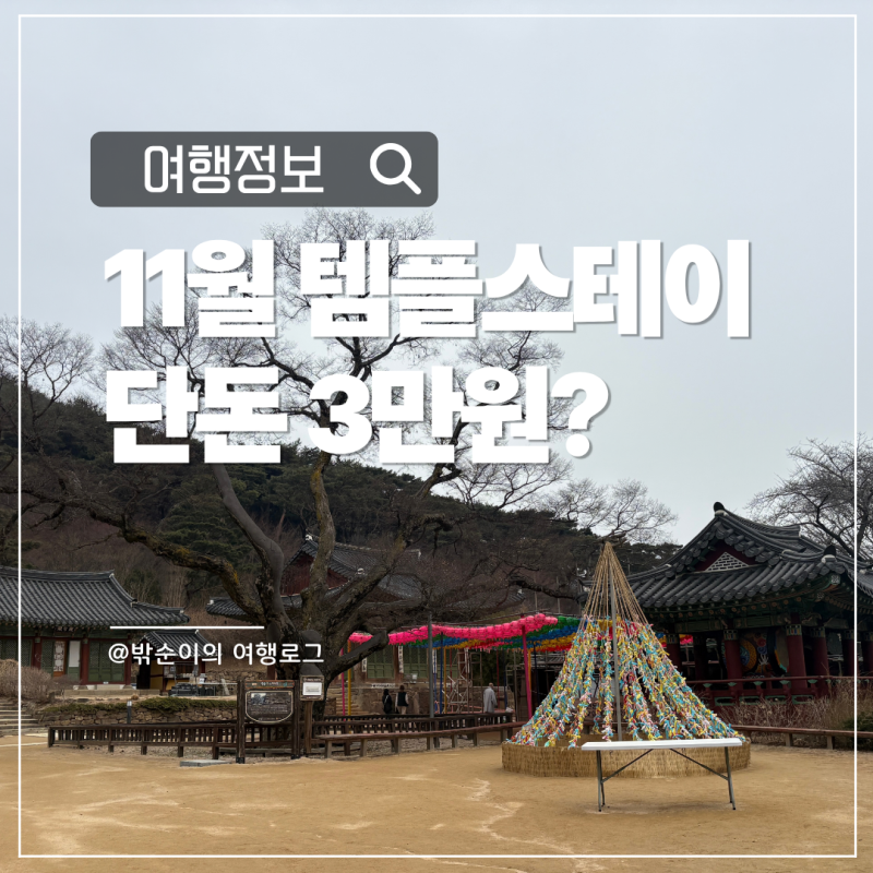 11월 템플스테이 단돈 3만원? 예약 방법부터 추천 사찰까지 총정리