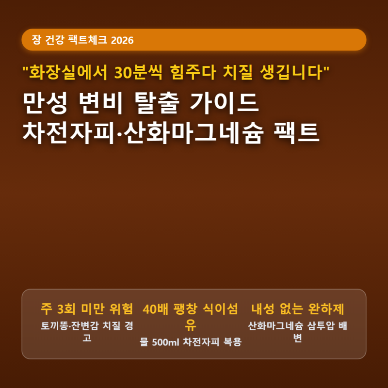 "화장실에서 30분씩 힘주다 치질 생깁니다" 2026 만성 변비 원인과 장운동 깨우는 차전자피 먹....