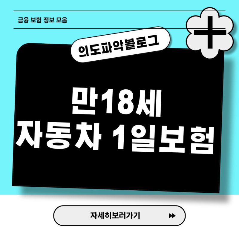 운전면허 갓 딴 만18세 자동차 1일보험 가입 제약과 일일 운전자 변경 기준