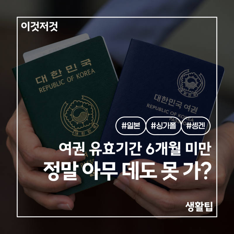 여권 유효기간 6개월 안 남았는데 해외여행 가능할까? 일본과 싱가포르의 차이