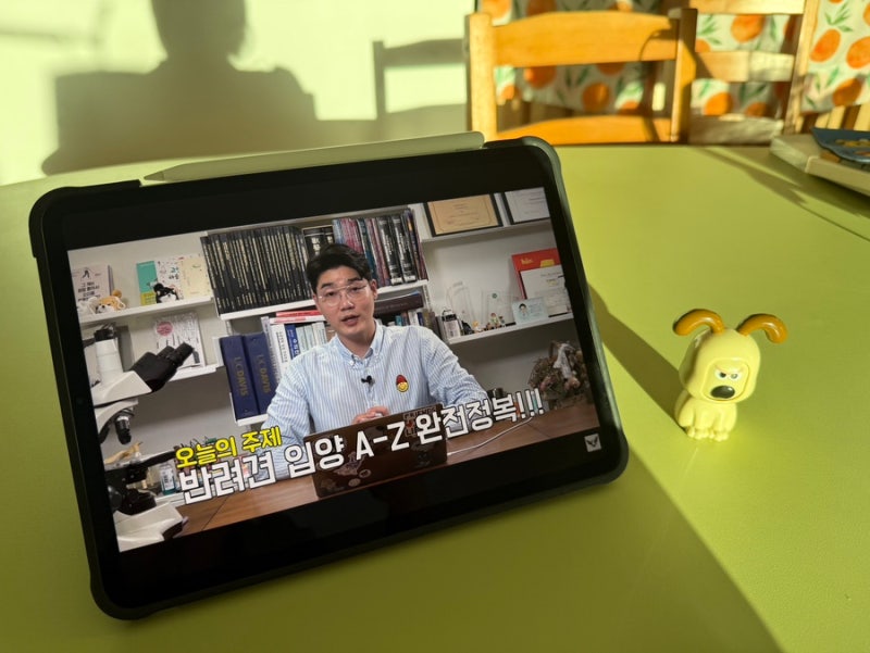 설채현 독설TV 리뷰 | 강아지 입양 방법 4가지와 새끼강아지 반려견 입양 팁