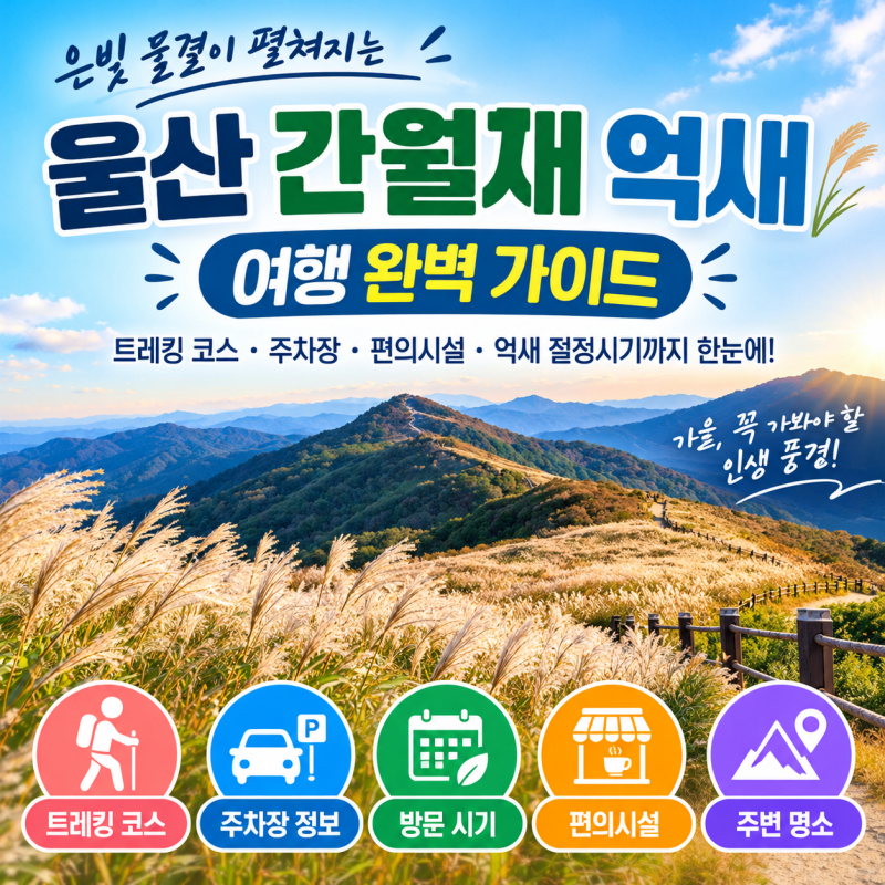 울산 간월재 억새 등산 초보자 완벽 코스 및 주차 안내