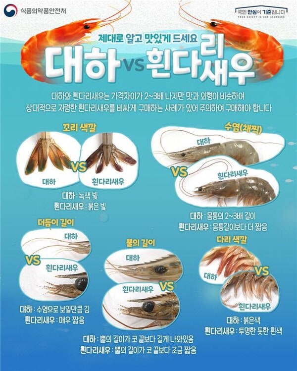 [대전 대하구이 맛집 BEST 5] 진짜 자연산 대하 구별법 & 대전 판매처 총정리