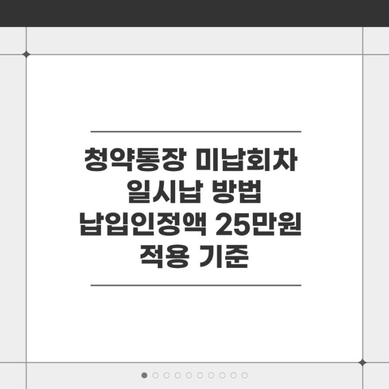 청약통장 미납회차 일시납 방법과 납입 인정액 25만원 적용 기준