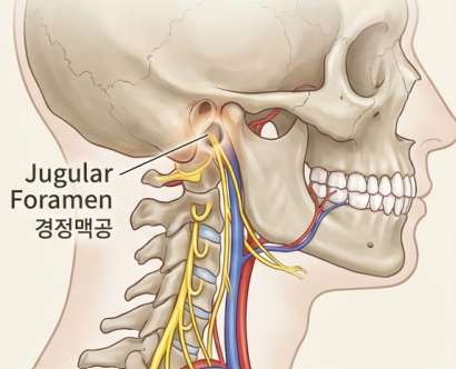 귀전문이비인후과, 치료 잘하는 곳의 비밀 (이명/돌발성난청/메니에르)